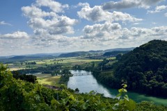 IMG_6817
