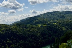 IMG_6819