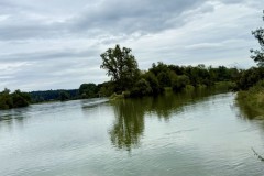 IMG_6923