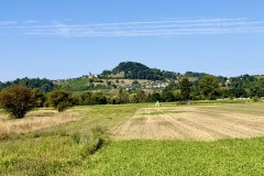 IMG_0579
