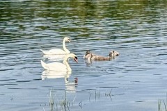 IMG_0585