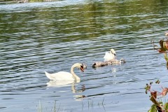 IMG_0589
