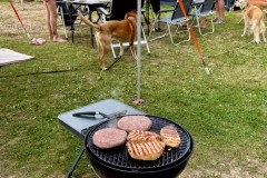 IMG_0592