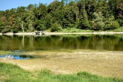IMG_0633