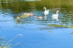 IMG_0635