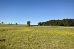 IMG_0138