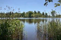 IMG_0165