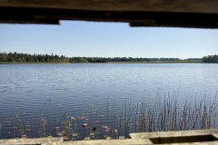 IMG_0195