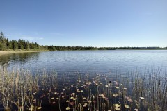 IMG_0196