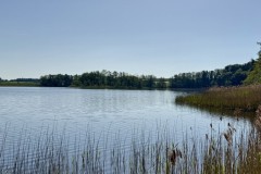 IMG_0197