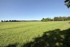 IMG_0202
