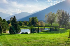 IMG_7966_jpg