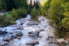 IMG_8027_jpg