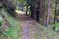 IMG_8030_jpg