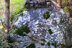 IMG_8033_jpg