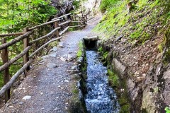 IMG_8035_jpg