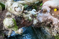 IMG_8038_jpg