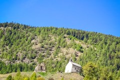 IMG_8062_jpg