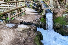 IMG_8068_jpg