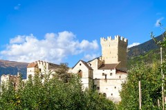 IMG_8081_jpg