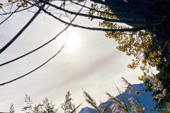 IMG_8169_jpg