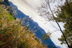IMG_8170_jpg