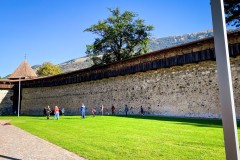 IMG_8226_jpg