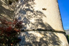 IMG_8227_jpg