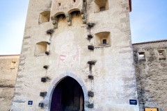 IMG_8229_jpg