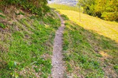 IMG_8238_jpg