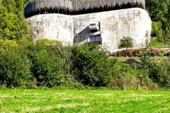 IMG_8241_jpg