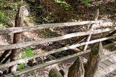 IMG_8248_jpg