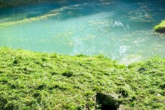 IMG_8262_jpg