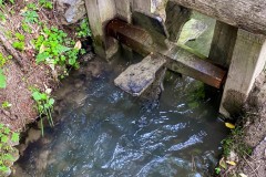 IMG_8267_jpg
