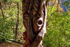 IMG_8268_jpg
