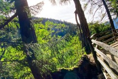 IMG_8275_jpg