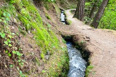 IMG_8281_jpg