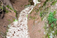 IMG_8357_jpg