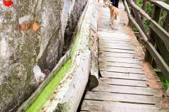IMG_8362_jpg