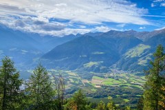 IMG_8372_jpg
