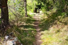 IMG_8373_jpg