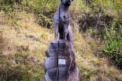IMG_8379_jpg