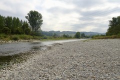DSC00375