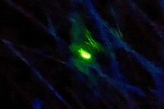 IMG_0674