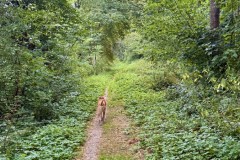 IMG_0676