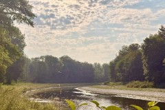 IMG_3011