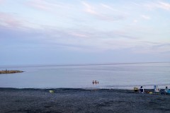 IMG_1720_jpg