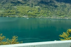 IMG_2651