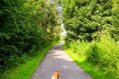 IMG_6792_jpg
