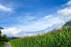 IMG_6845_jpg